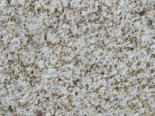 蘑菇视频色版下载蘑菇视频无限观看下载