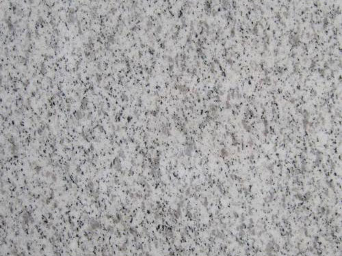 蘑菇TV官方网站登录入口產地