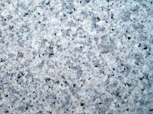 蘑菇TV官方网站登录入口